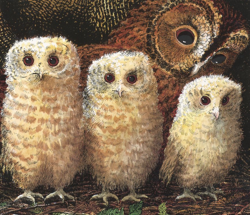 owl babies (02),绘本,绘本故事,绘本阅读,故事书,童书,图画书,课外阅读